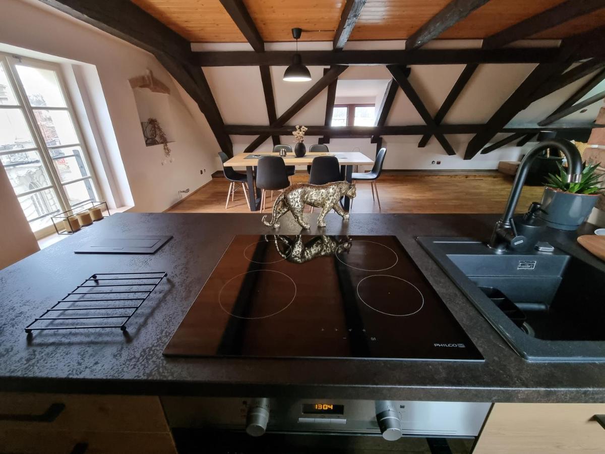 Galerie Vila Lucia 5 -Loft Apartman Plzen Bagian luar foto