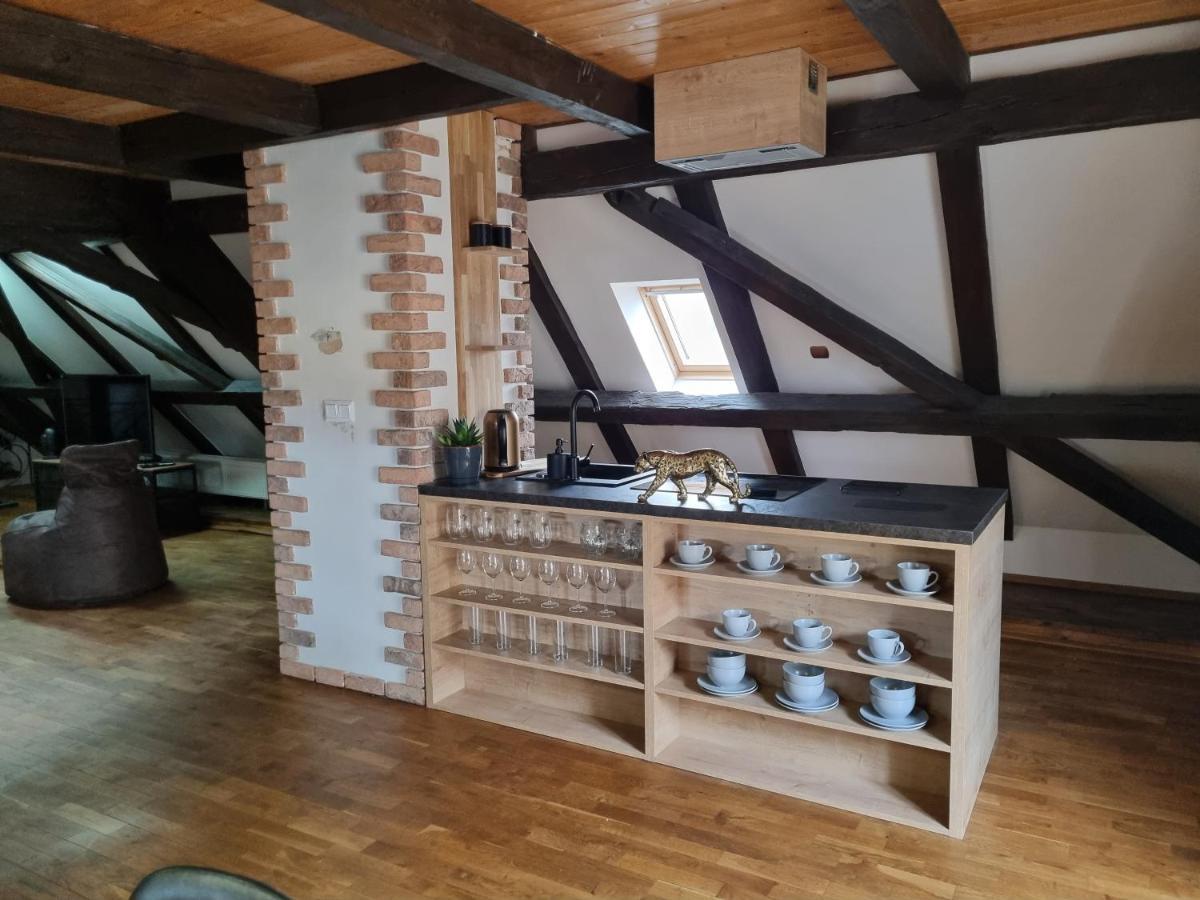 Galerie Vila Lucia 5 -Loft Apartman Plzen Bagian luar foto