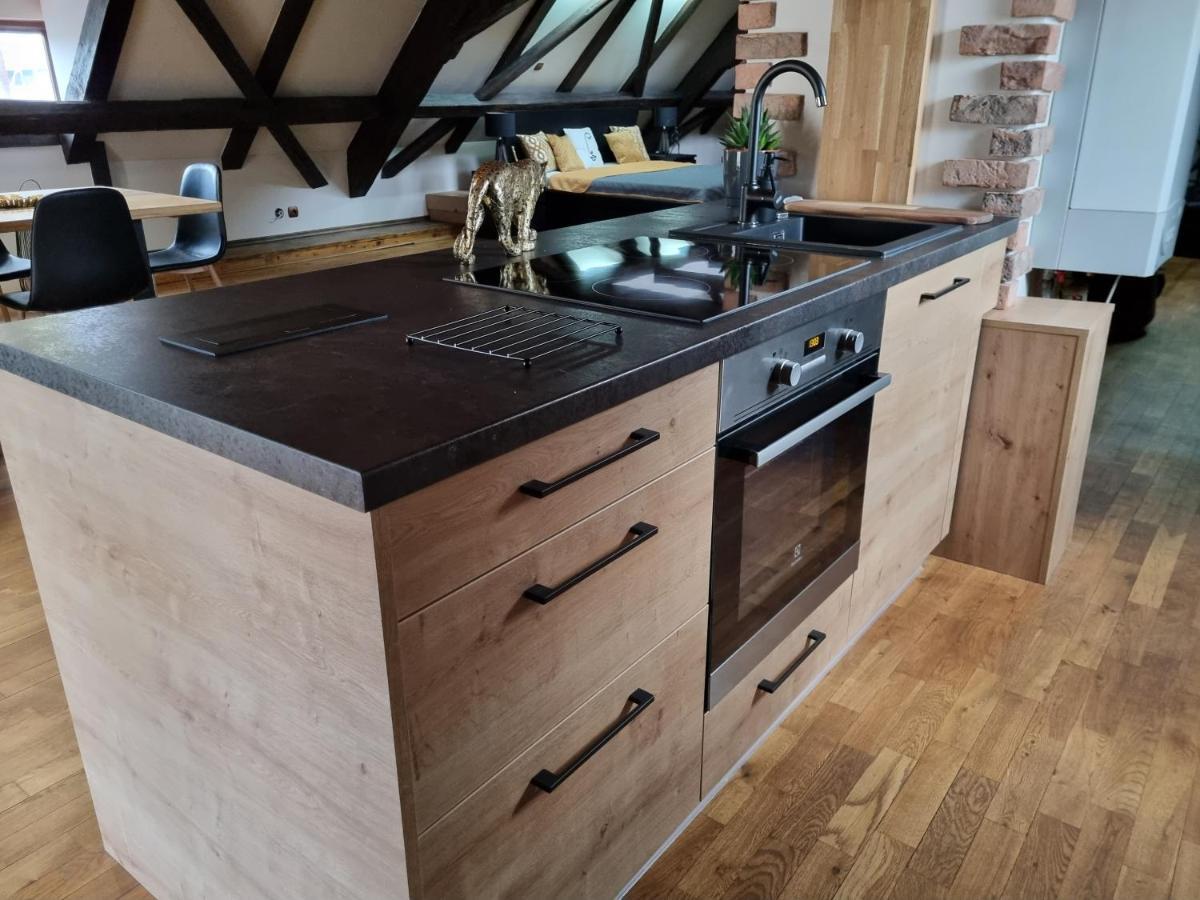 Galerie Vila Lucia 5 -Loft Apartman Plzen Bagian luar foto