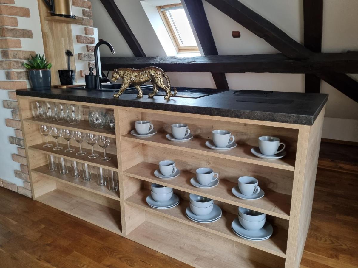 Galerie Vila Lucia 5 -Loft Apartman Plzen Bagian luar foto